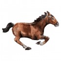 Palloncino CAVALLO 