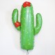PALLONCINO CACTUS FIORI