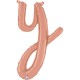 lettera Y