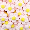 MARSHMALLOW margherite rosa
