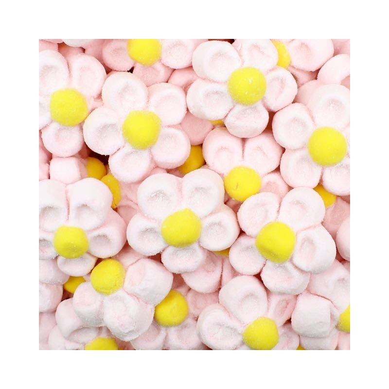 MARSHMALLOW margherite rosa - ENJOY TODAY