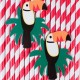 6 CANNUCCE TUCANO