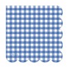 16 TOVAGLIOLI VICHY BLU