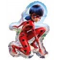 PALLONCINO LADY BUG