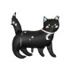 Palloncino GATTO NERO STELLATO 