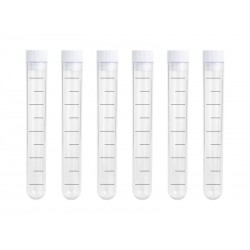 6 PROVETTE HALLOWEEN