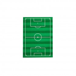 16 TOVAGLIOLINI CAMPO DA CALCIO A RIGHE