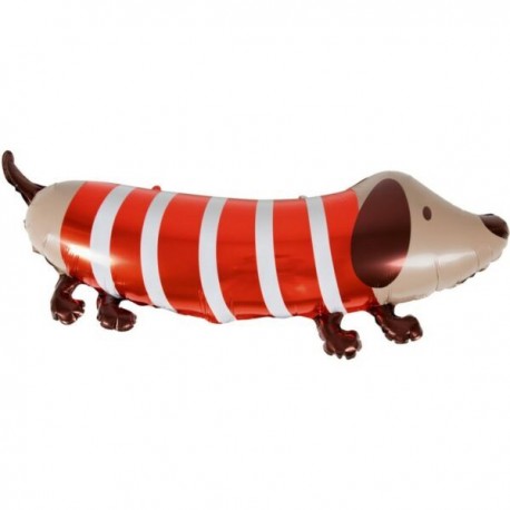 Palloncino CANE BASSOTTO con maglione