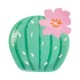 8 PIATTI CACTUS